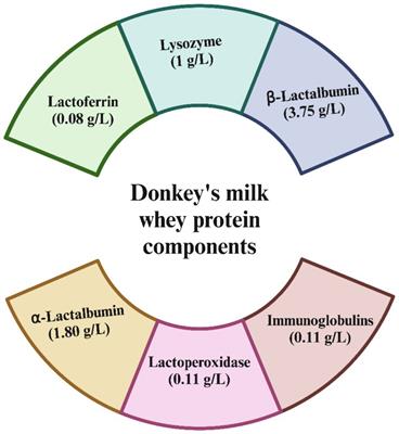 Is there sufficient evidence to support the health benefits of including donkey milk in the diet?